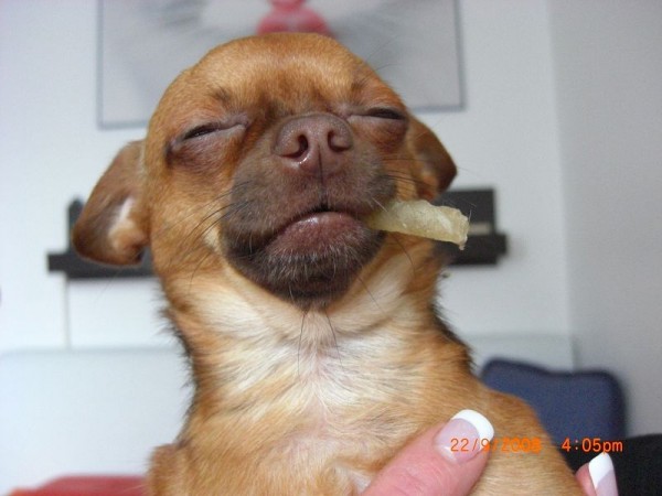 k-CIMG3826.JPG (57.78 KiB) 5920 mal betrachtet k-CIMG3826.JPG