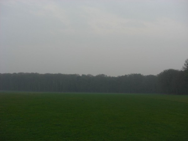 k-CIMG5536.JPG (38.21 KiB) 5980 mal betrachtet k-CIMG5536.JPG