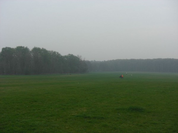 k-CIMG5537.JPG (55.61 KiB) 6563 mal betrachtet k-CIMG5537.JPG