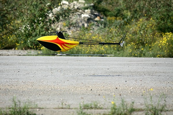 comp_2IMG_5525.jpg
