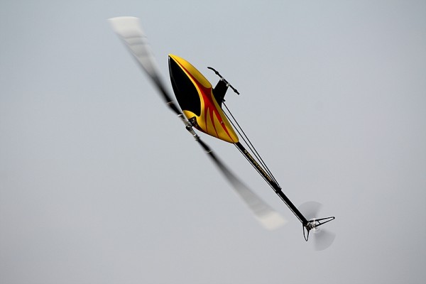 comp_2IMG_5529.jpg
