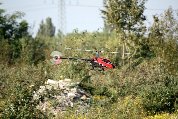 comp_2IMG_5552.jpg
