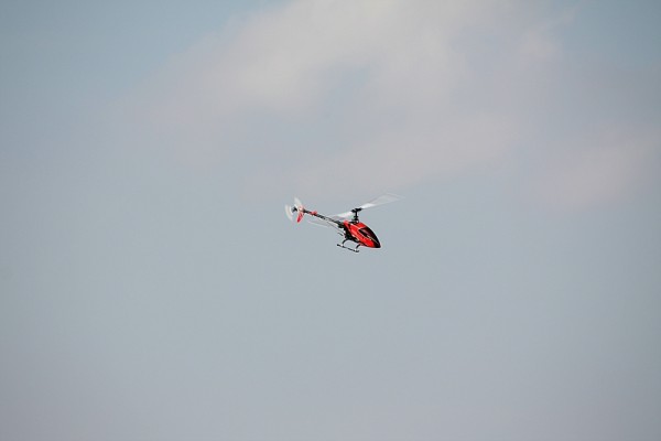 comp_2IMG_5555.jpg