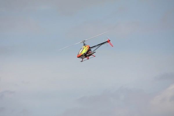 comp_IMG_6870.jpg