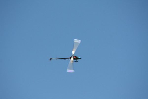 comp_IMG_7222.jpg