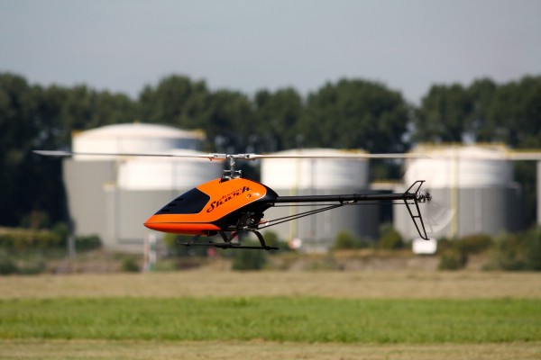 comp_IMG_7346.jpg