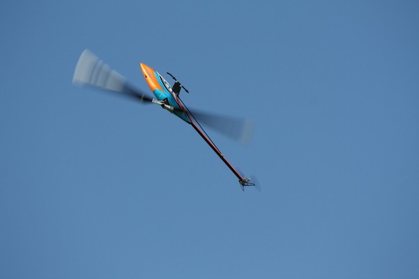 comp_IMG_7409.jpg