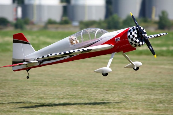 comp_IMG_8865.jpg
