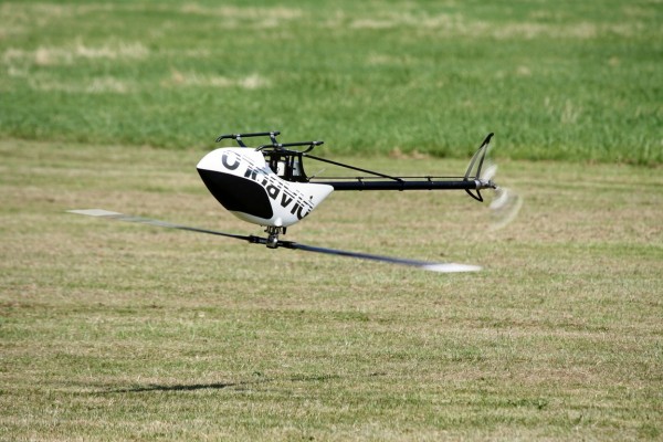 comp_IMG_8935.jpg